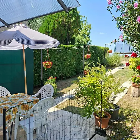 Nena- Sa Posebnim Ulazom U Prizemlju, Terasom I Zelenom Okucnicom Rakotule