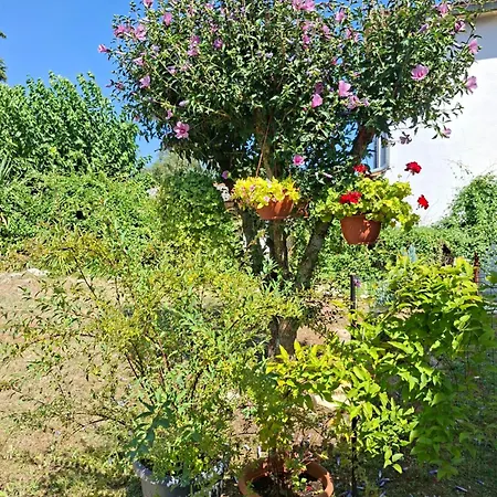 Nena- Sa Posebnim Ulazom U Prizemlju, Terasom I Zelenom Okucnicom